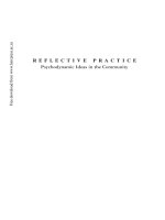 Reflective Practice Psychodynamic Ideas in the Community pdf