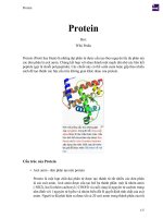 Protein và chức năng sinh học
