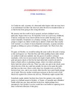 An Experiment in Education