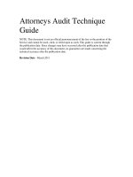 Attorneys Audit Technique Guide ppt