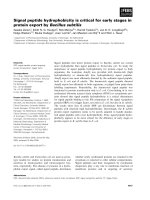 Báo cáo khoa học: Signal peptide hydrophobicity is critical for early stages in protein export by Bacillus subtilis ppt