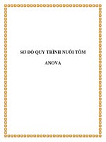 SƠ ĐỒ QUY TRÌNH NUÔI TÔM ANOVA pdf