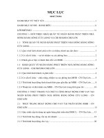 Thực trạng và giải pháp nâng cao chất lượng hoạt động cho vay tại ngân hàng phát triển nhà đồng bằng sông cửu long – chi nhánh chợ lớn