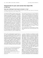 Báo cáo khoa học: Structural basis for poor uracil excision from hairpin DNA An NMR study pptx