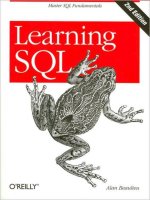 Learning SQL, 2nd Edition potx