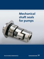 Mechanical shaft seals for pumps doc