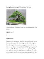 Hướng dẫn một số dáng, thế cổ của Bonsai Việt Nam pot