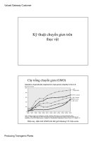 Kỹ thuật chuyển gien trên thục vật docx