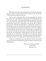 Đề tài: THIẾT KẾ MẠNG LƯỚI ĐIỆN KHU VỰC GỒM NGUỒN ĐIỆN VÀ MỘT SỐ PHỤ TẢI KHU VỰC docx