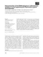 Báo cáo khoa học: Characterization of the NADH:ubiquinone oxidoreductase (complex I) in the trypanosomatid Phytomonas serpens (Kinetoplastida) ppt