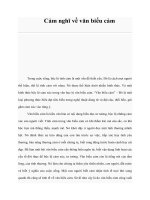 Cảm nghĩ về văn biểu cảm doc
