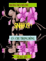 Tiết 4 : LAI HAI CẶP TÍNH TRẠNG pptx