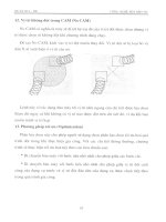 công nghệ đột dập cnc past 3