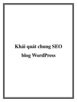 Khái quát chung SEO blog WordPress potx