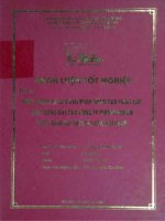 Thực trạng và các giải pháp nâng cao năng lực hoạt động của các công ty chứng khoán ở Việt Nam đáp ứng yêu cầu hội nhập