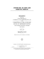 CONSUMER DEBT: ARE CREDIT CARDS BANKRUPTING AMERICANS? Serial No. 111–9 doc