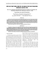 ĐIỀU TRA KĨ THUẬT TRỒNG, CHĂM SÓC, THU HOẠCH VÀ TIÊU THỤ CÂY MẠCH MÔN (Ophiopogon Japonicus. Wall) ppt