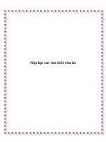 Súp hạt sen vừa thổi vừa ăn pot