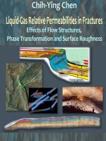 Liquid-Gas Relative Permeabilities in Fractures: Effectsof Flow Structures, Phase Transformation and Surface Roughness pot