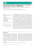 Báo cáo khoa học: Genome-wide analysis of clustering patterns and ﬂanking characteristics for plant microRNA genes doc