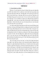 chuyên đề tổng kết các ưu đãi đầu tư vào khu công nghiệp, khu chế xuất, khu công nghệ cao của lê tuyển cử và nguyễn thị thanh hà năm 2004