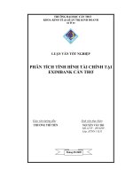 Luận văn: PHÂN TÍCH TÌNH HÌNH TÀI CHÍNH TẠI EXIMBANK CẦN THƠ pptx