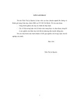 Luận văn: “Vai trò của phụ nữ trong Quản trị đại học ppt