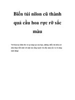 Biến túi nilon cũ thành quả cầu hoa rực rỡ sắc màu potx