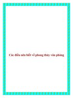 Các điều nên biết về phong thủy văn phòng doc