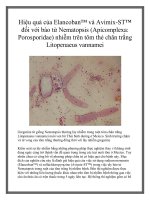 Hiệu quả của Elancoban™ và Avimix-ST™ đối với bào từ Nematopsis (Apicomplexa: Porosporidae) nhiễm trên tôm thẻ chân trắng Litopenaeus vannamei doc