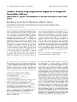 Báo cáo khoa học: Structural diversity in lipopolysaccharide expression in nontypeable Haemophilus inﬂuenzae Identiﬁcation of L-glycero -D-manno-heptose in the outer-core region in three clinical isolates potx