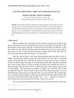 LUẬT KẾT HỢP MỜ DỰA TRÊN NGỮ NGHĨA ĐẠI SỐ GIA TỬ pot