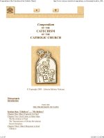 Compendium of the Catechism of the Catholic Church pot
