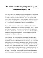 Vai trò của các chất tăng cường chức năng gan trong nuôi trồng thủy sản doc