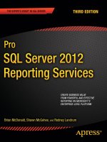 Pro SQL Serber 2012 Reporting Services pot