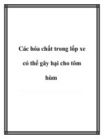 Các hóa chất trong lốp xe có thể gây hại cho tôm hùm ppt