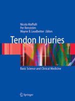 Tendon Injuries Basic Science and Clinical Medicine pdf