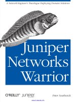 Juniper Networks Warrior pot