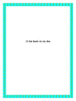 11 bài thuốc từ cây đào pptx