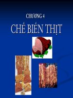 CHƯƠNG 4 CHẾ BIẾN THỊT pptx
