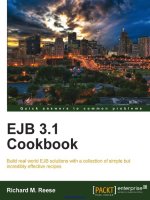 EJB 3.1 Cookbook pptx