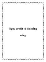 Nguy cơ đột tử khi nắng nóng ppt
