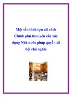 Một số thành tựu cải cách Chính phủ theo yêu cầu xây dựng Nhà nước pháp quyền xã hội chủ nghĩa pdf