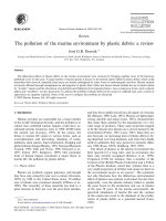 The pollution of the marine environment by plastic debris: a review pptx