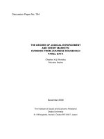 THE DEGREE OF JUDICIAL ENFORCEMENT AND CREDIT MARKETS: EVIDENCE FROM JAPANESE HOUSEHOLD PANEL DATA ppt