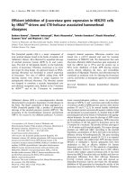 Báo cáo khoa học: Efﬁcient inhibition of b-secretase gene expression in HEK293 cells by tRNAVal-driven and CTE-helicase associated hammerhead ribozymes doc