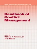 Handbook of ConfIict Management pdf