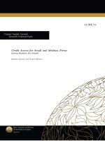 Credit Access for Small and Medium Firms Survey Evidence for Ireland doc