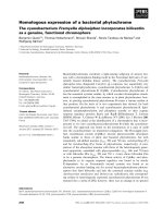 Báo cáo khoa học: Homologous expression of a bacterial phytochrome The cyanobacterium Fremyella diplosiphon incorporates biliverdin as a genuine, functional chromophore doc