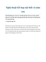 Nghệ thuật kết hợp nội thất và màu sơn pdf